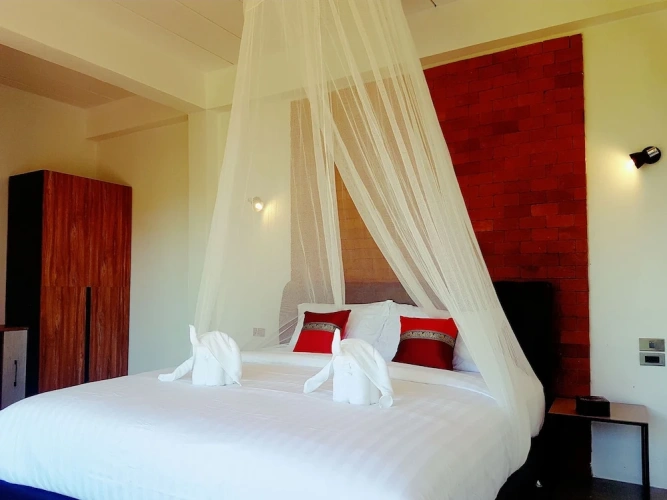 Deluxe Double room with balcony and with mountain view