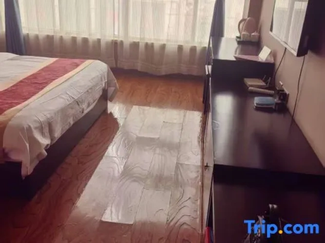 Business Double room with street view