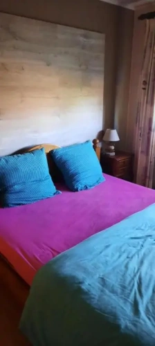 Standard Double room with garden view