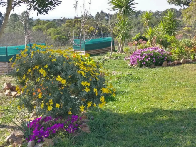 Quinta Reuffurth