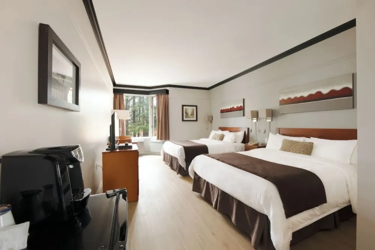Standard Quadruple room with mountain view