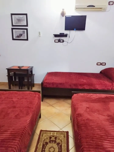 1 Bedroom Standard Triple room with city view