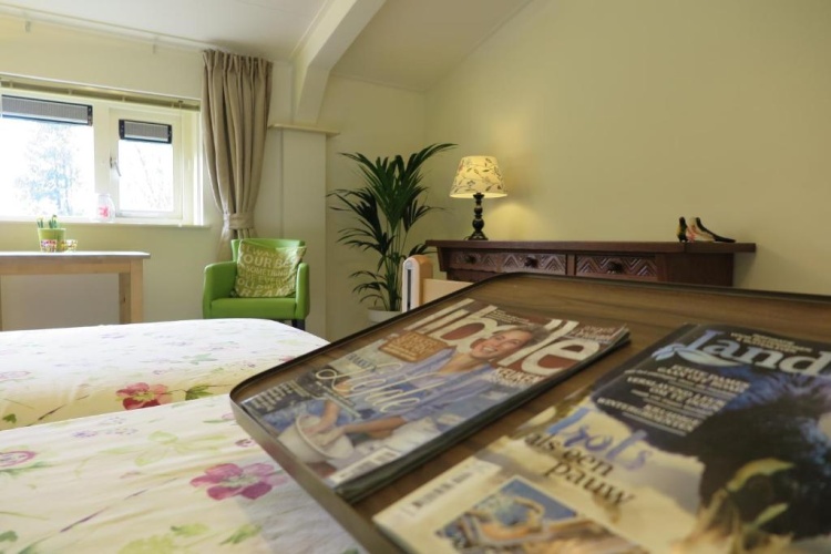 Standard Twin room with view