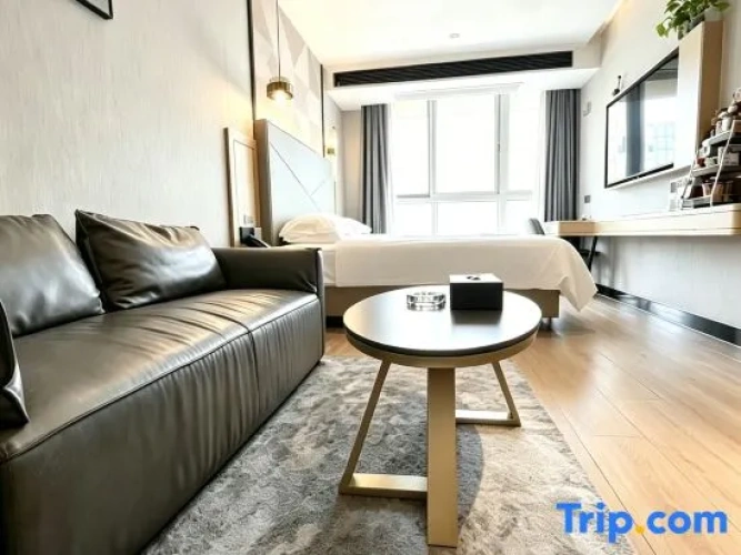 Standard Double room with city view