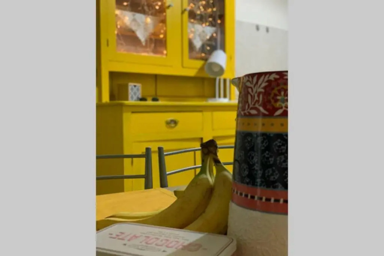 Lemon City Apartment