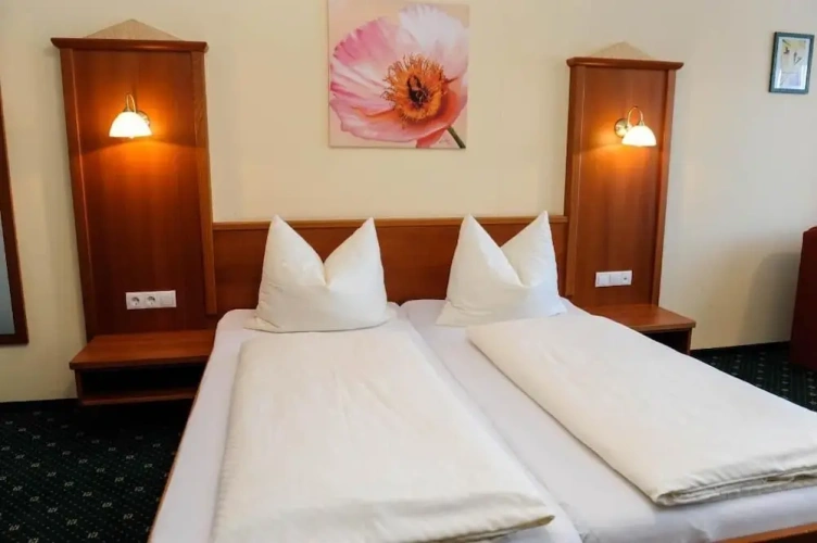 Standard Double room with balcony and with mountain view