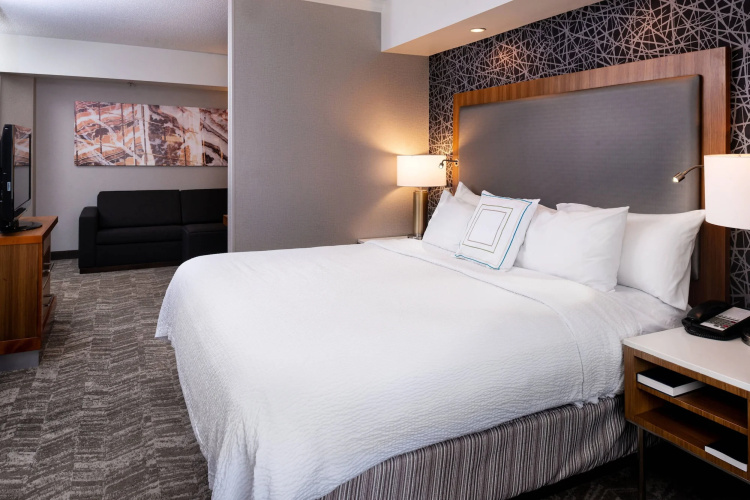 Springhill Suites Pittsburgh North Shore photo 45