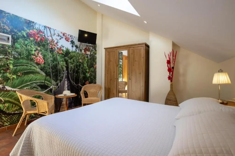 Standard Double Attic room