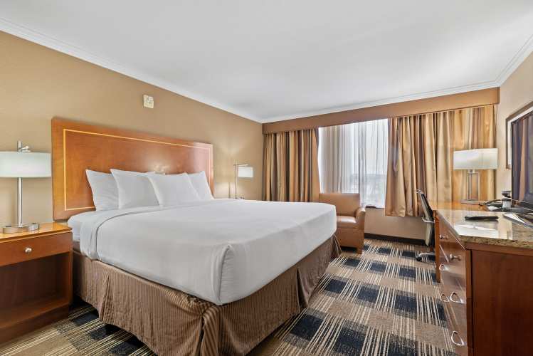 Hotel Executive Suites photo 6