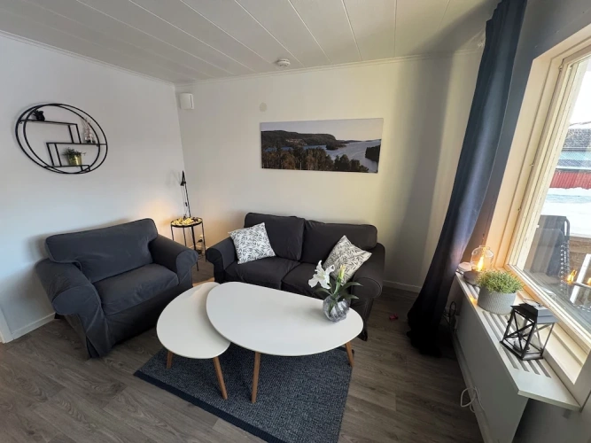 Classic Apartment