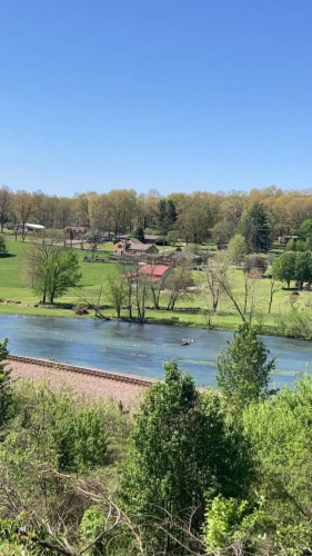 Riverview Cabins