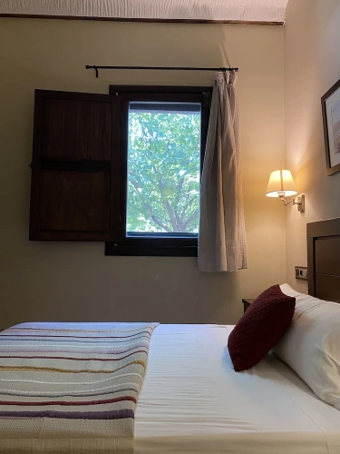 Standard Single room with mountain view