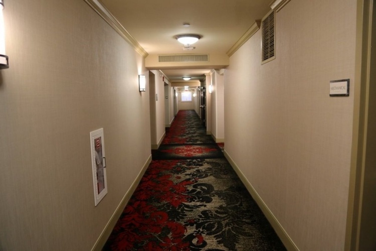 Hilton Columbia Center photo 14