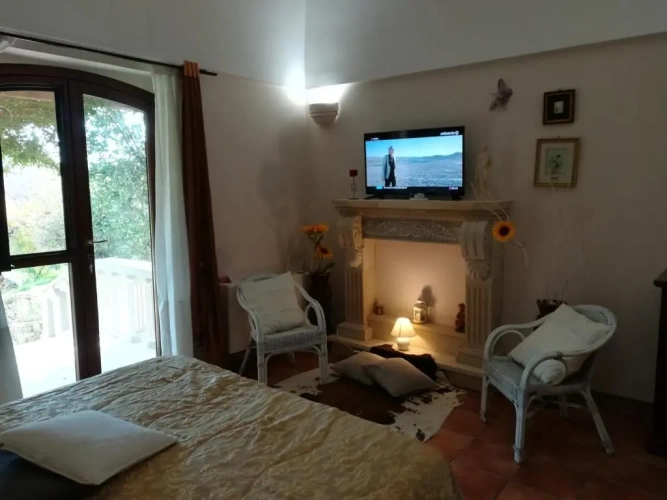 Standard Double room with garden view