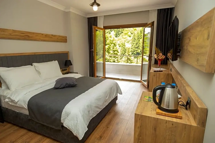 Standard Suite