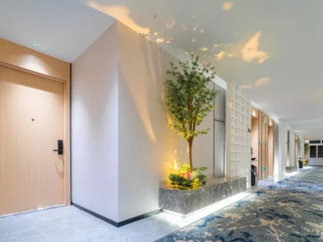 Hotel rooms