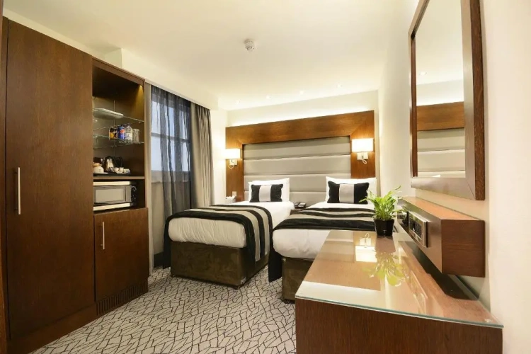 Deluxe Twin room