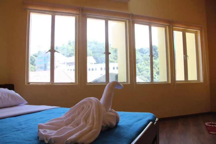 Fat Rhino Hostel