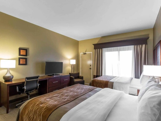 Standard Double room