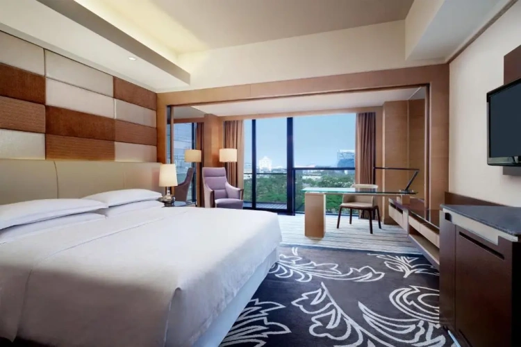 Deluxe Double room with city view