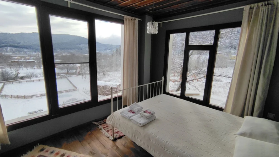 Torrhebia Dag Evi