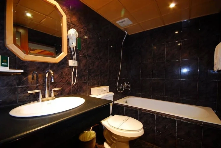Business Twin room