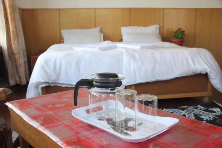 Standard Double room with balcony and with view