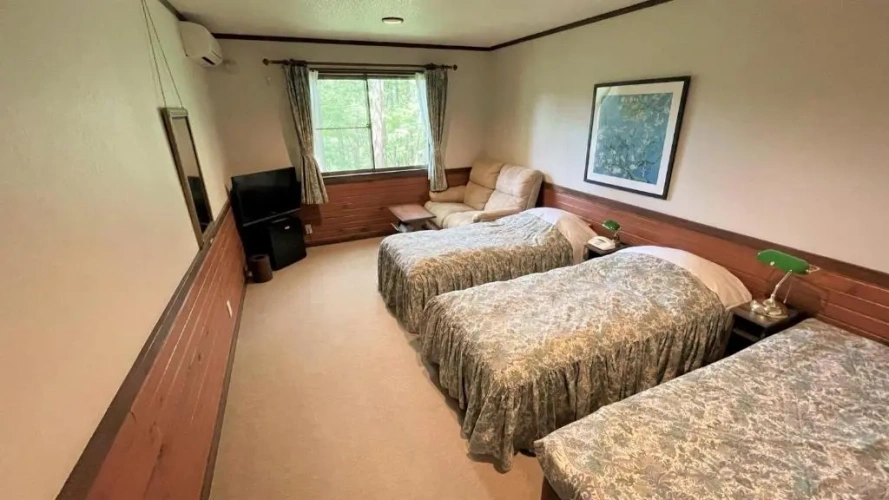 Standard Twin room with view