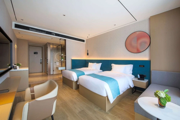 Deluxe Twin room with city view