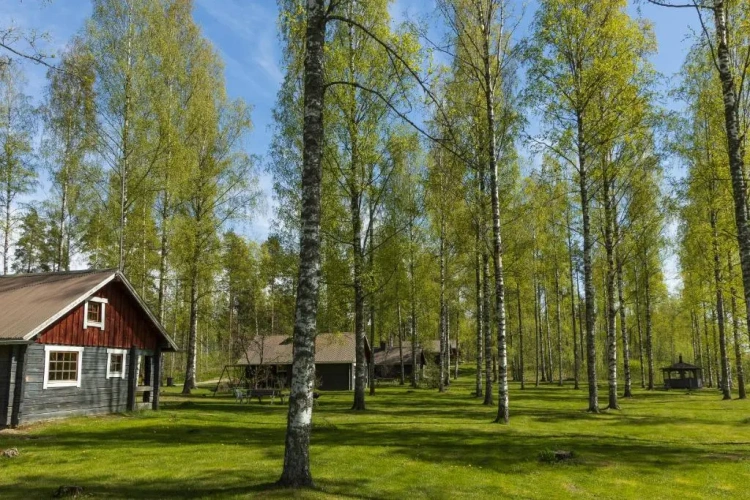 Cottage with view