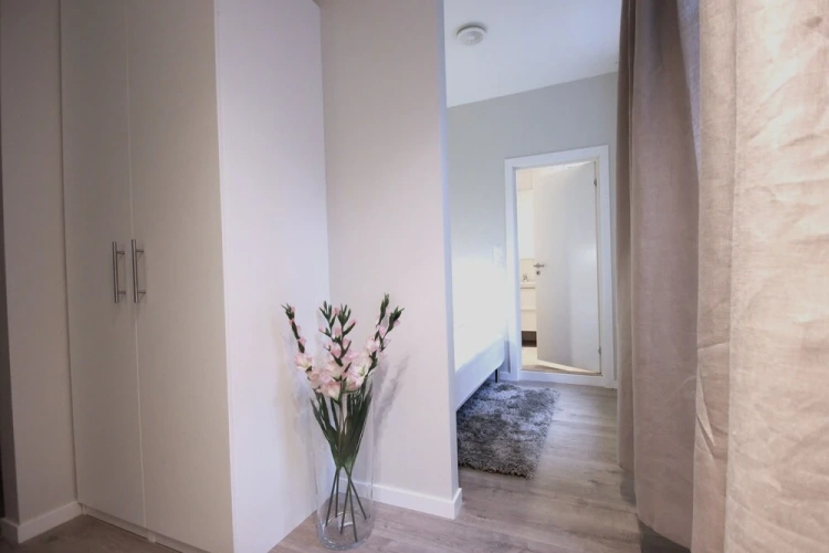 1 Bedroom Standard Apartment
