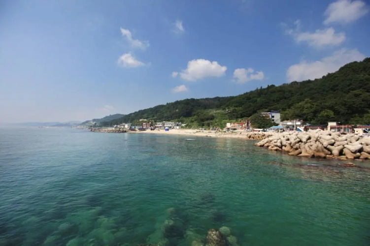 Sora Pension