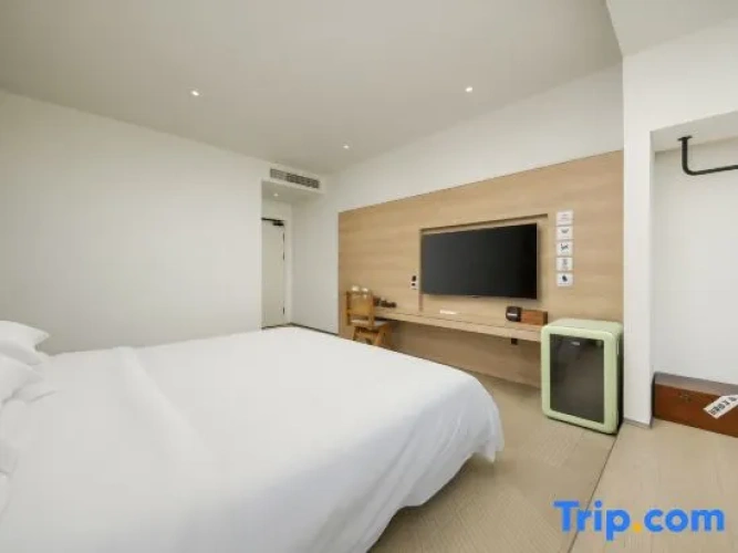 Standard Double room with lake view