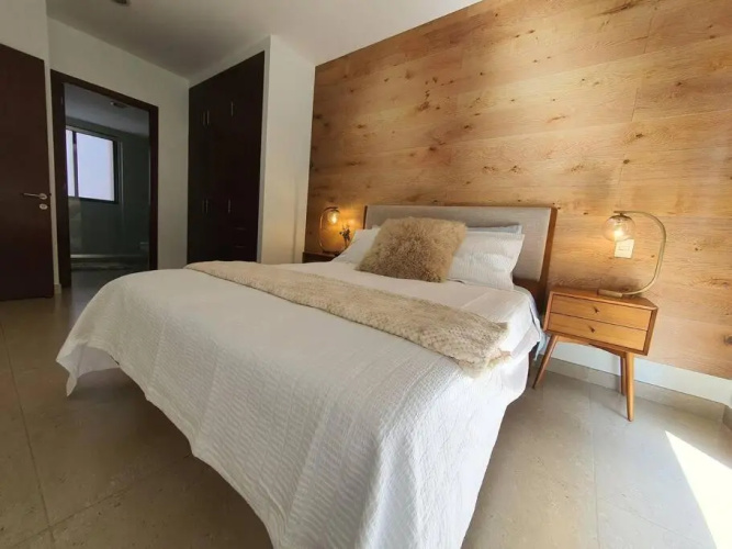 Argento Apartment in New Polanco