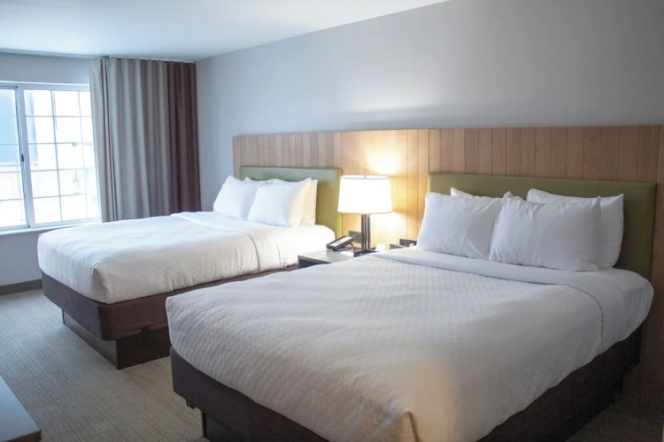 Quadruple Suite