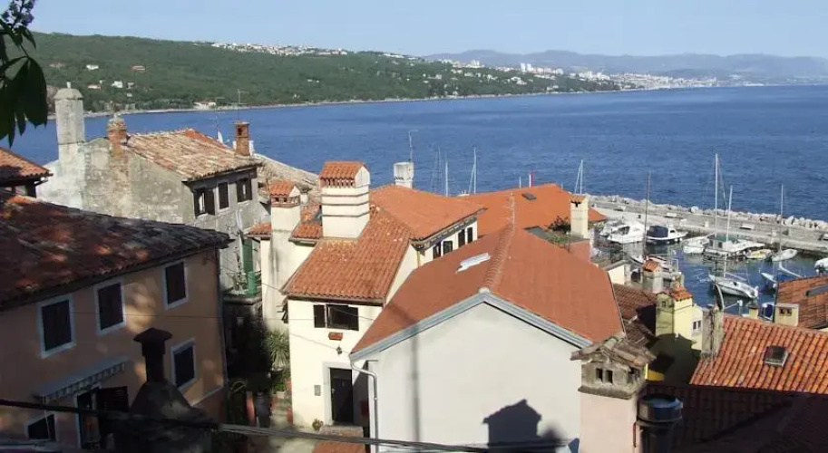 Apartment Brajdica