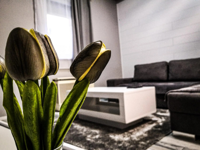 Érsek Apartman Eger