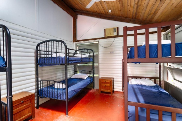 Bed in Dorm