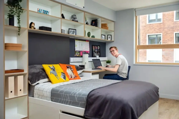 Standard Single room