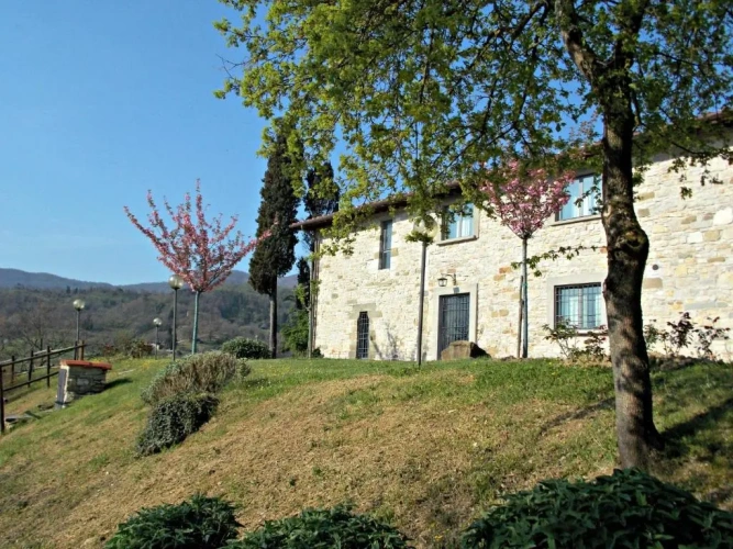 Cottage