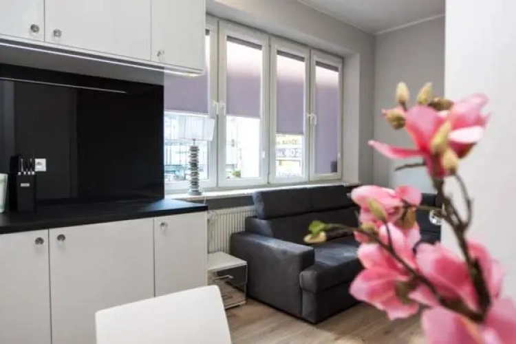 Superior Double Apartment
