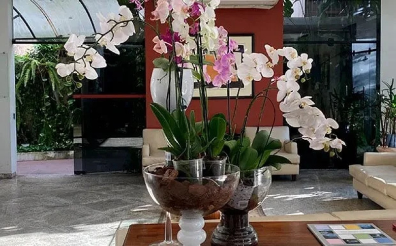 Tarik Fontes Plaza HotelOver view