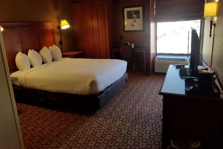 Accessible Double room