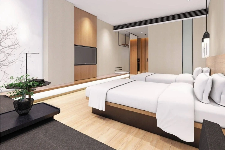 Superior Twin room with city view