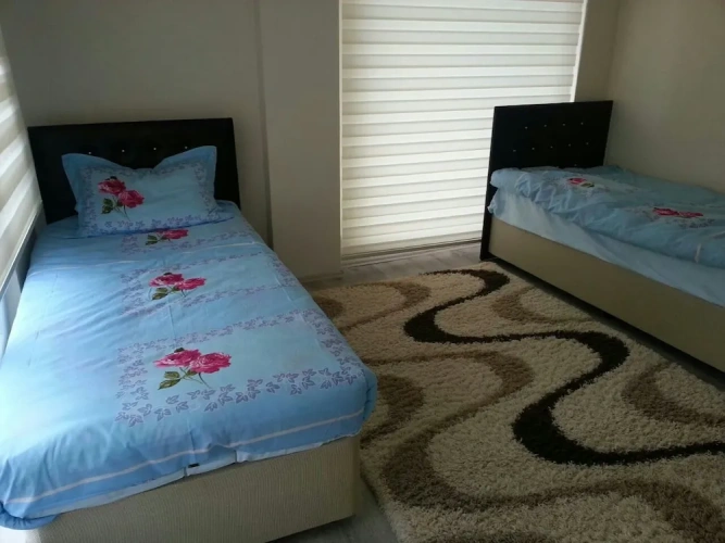 Single Apartment