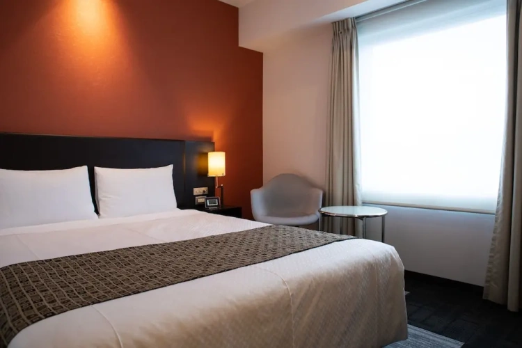 1 Bedroom Standard Double room