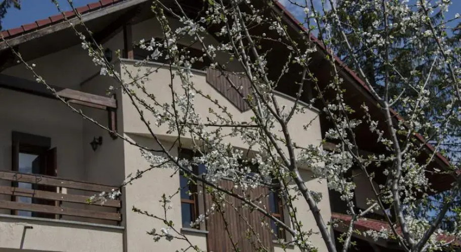 Transylvanian Villa