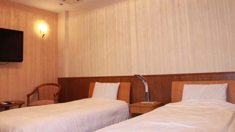 Economy Twin room