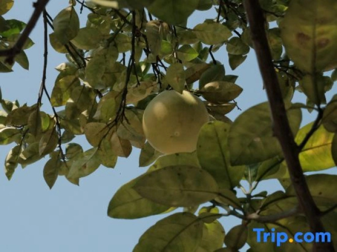 Guiyang Duoli Garden Homestay
