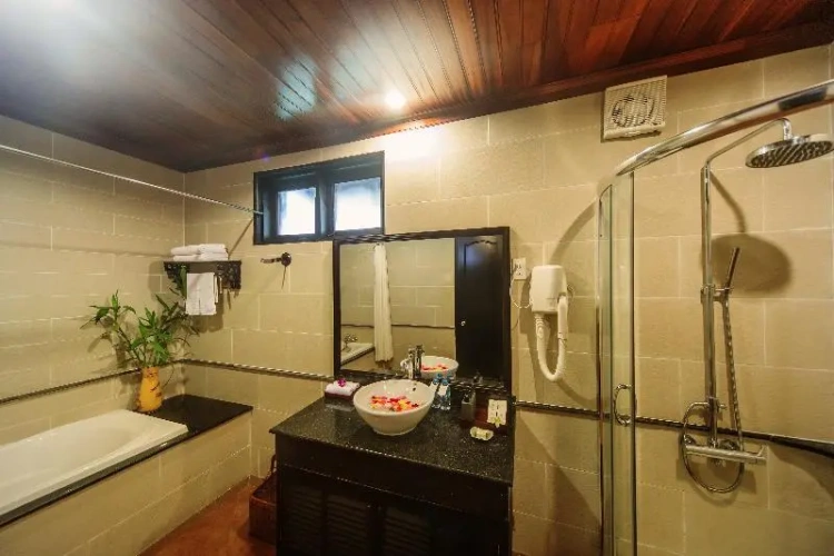 Premier Double room with balcony and with river view